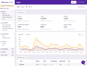 Independent Analytics Dashboard showing nonprofit website analytics